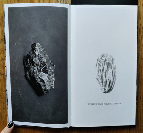 This Is How The Earth Must See Itself: A walk with natural features - Setanta Books
