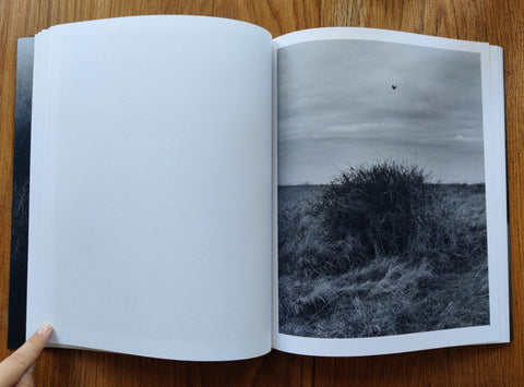 This Land - Setanta Books
