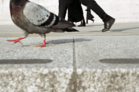 Trafalgar Square 2014 - Setanta Books
