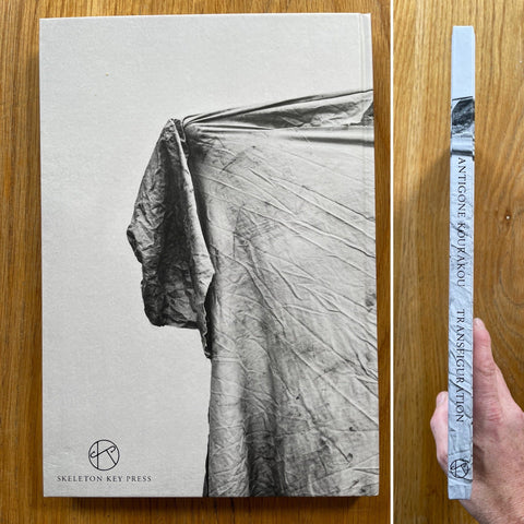 Transfiguration - Setanta Books