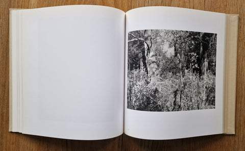 Tree Line: The Hasselblad Award 2009 - Setanta Books