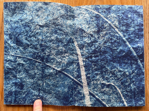 Trees, Water and Light - Setanta Books