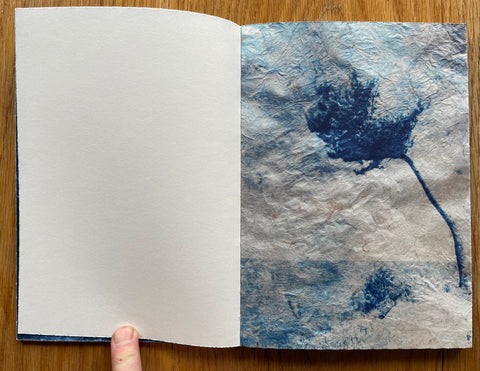 Trees, Water and Light - Setanta Books