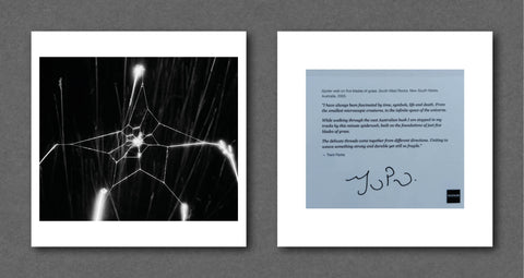 Trent Parke Magnum Square Prints