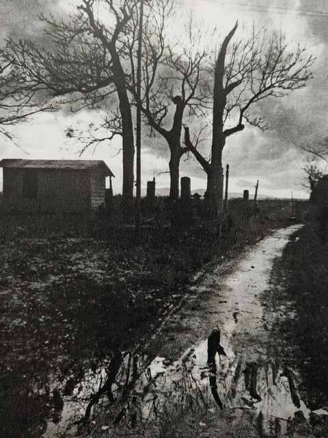 Tsugaru - Poetry, Writings, Photography