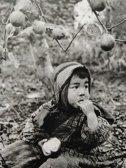 Tsugaru - Poetry, Writings, Photography