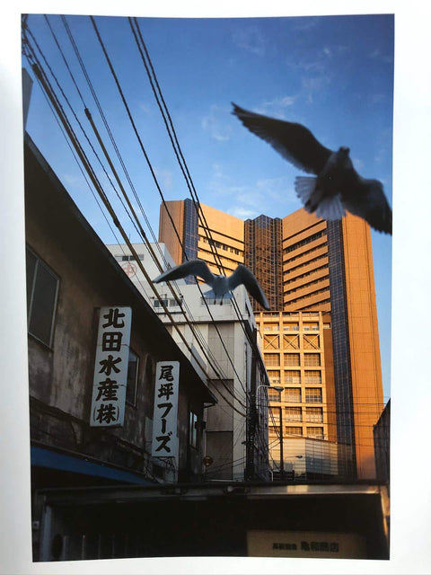 Tsukiji Shijo - Setanta Books