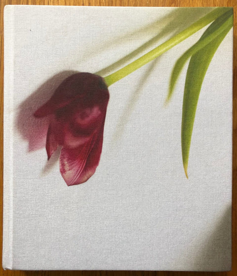 Tulip