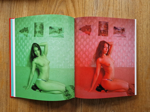 Tulips (Deluxe Edition) - Setanta Books