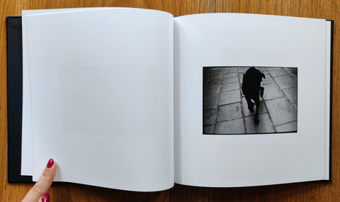 Venice - Setanta Books