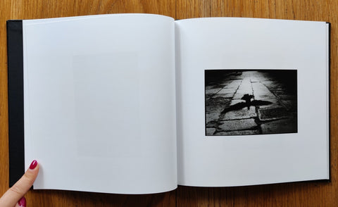 Venice - Setanta Books