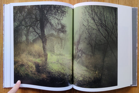 We Were Born Before The Wind - Setanta Books