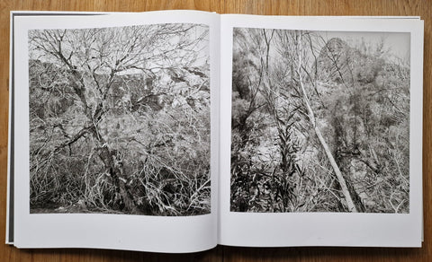 Western Landscapes - Setanta Books
