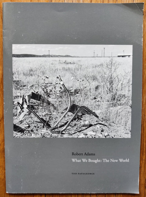 What We Bought: The New World - Setanta Books