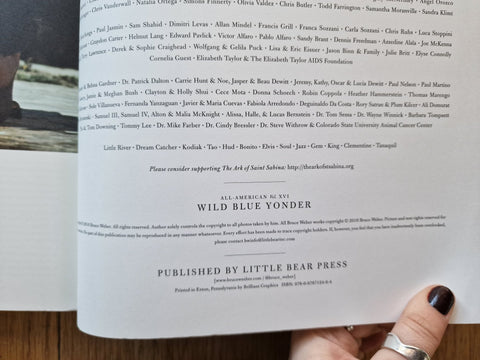 Wild Blue Yonder All American Vol XVI - Setanta Books
