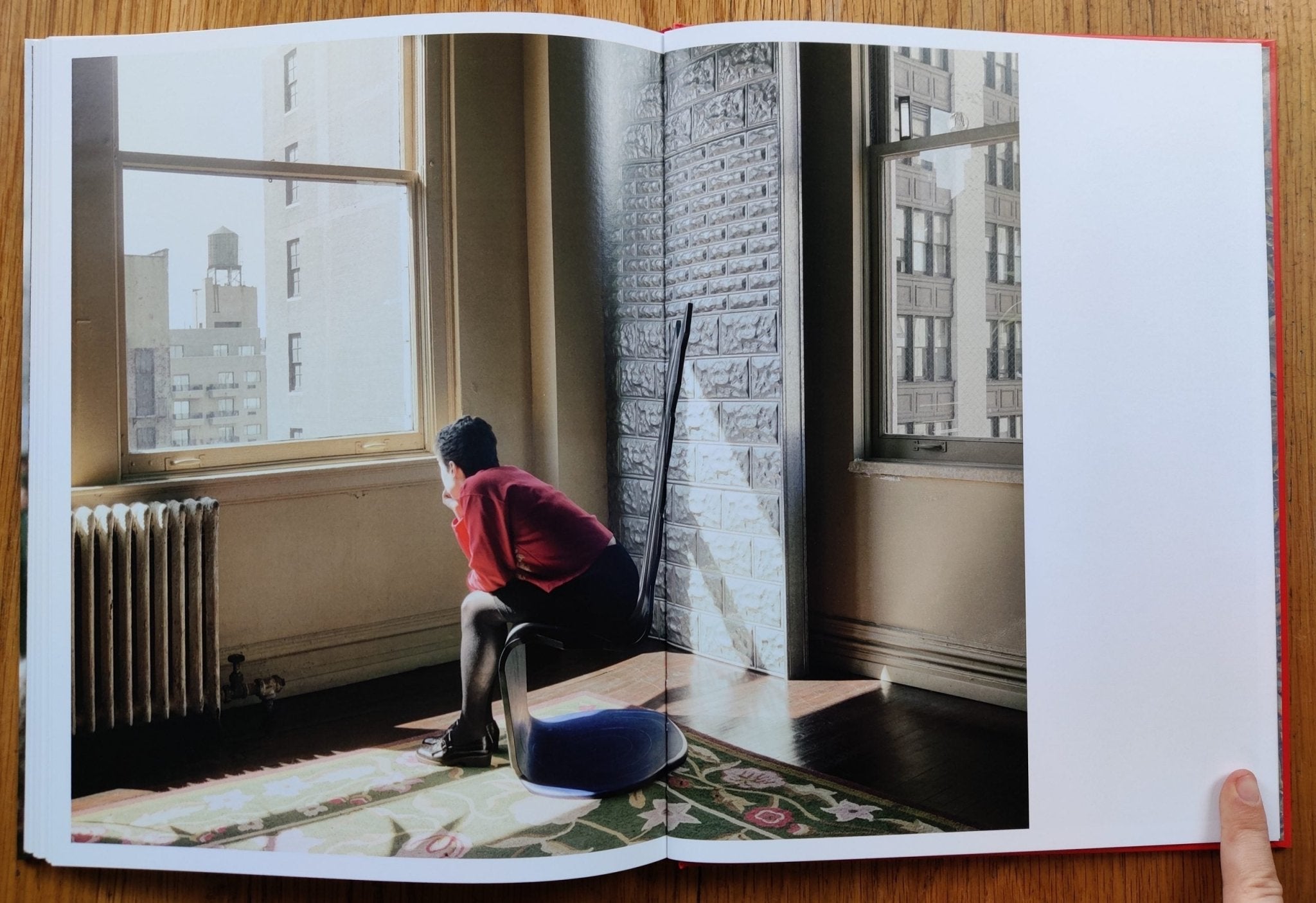Buy Wild Flowers by Joel Meyerowitz online – Setanta Books