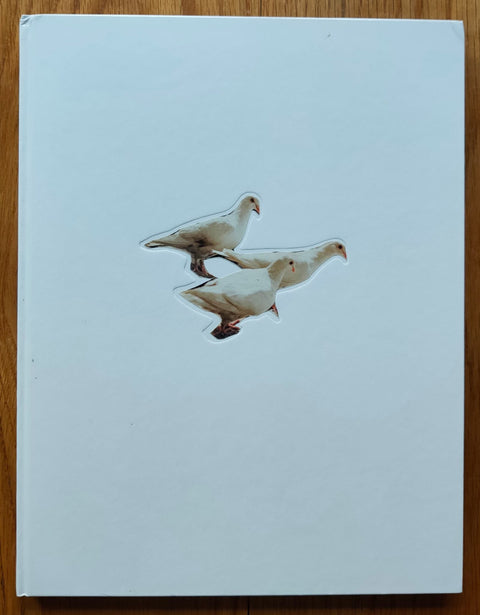 Wild Pigeon - Setanta Books