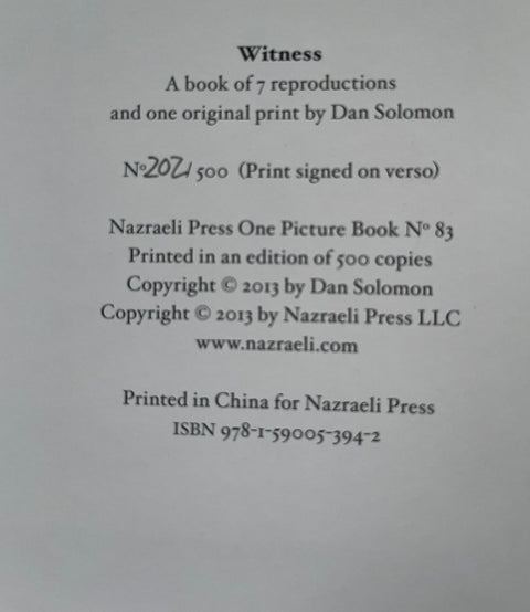 Witness (One Picture Book) - Setanta Books
