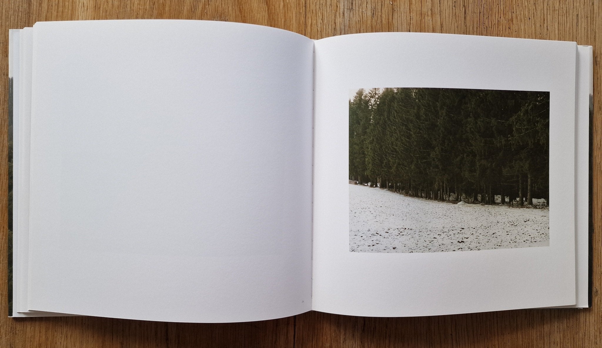 Buy Woodlands by Bernhard Fuchs Online – Setanta Books