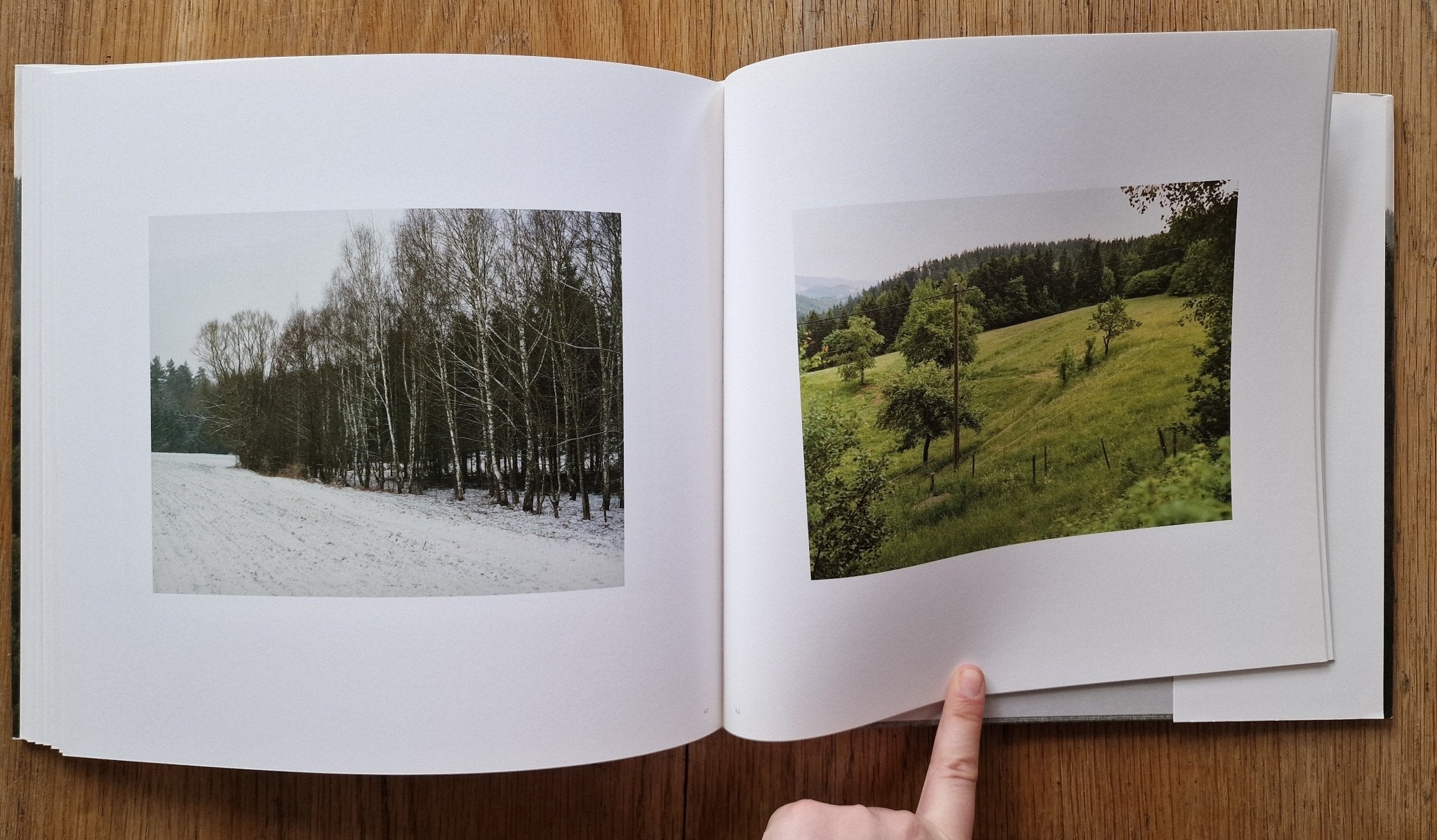 Buy Woodlands by Bernhard Fuchs Online – Setanta Books
