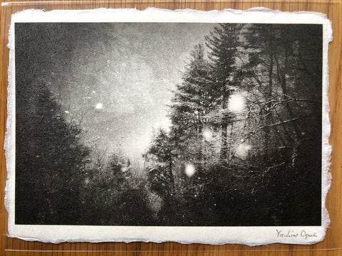The Dreaming Print #1 by Yasuhiro Ogawa. B&W image of snowy trees. Signed.