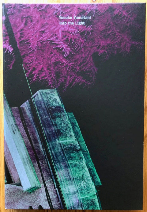 The photography book cover of Into the Light by Yusuke Yamatani. Hardback in black with image of a pink tree. Signed.